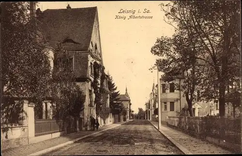 Ak Leisnig an der Freiberger Mulde Sachsen, Partie in der König Albert Straße