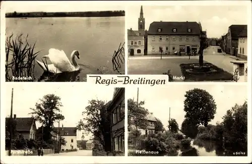 Ak Regis Breitingen Sachsen, Badeteich, Schwan, Markt, Pleißenaue, Forststraße