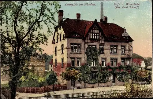 Ak Steinpleis Werdau in Sachsen, Café und Weinstube