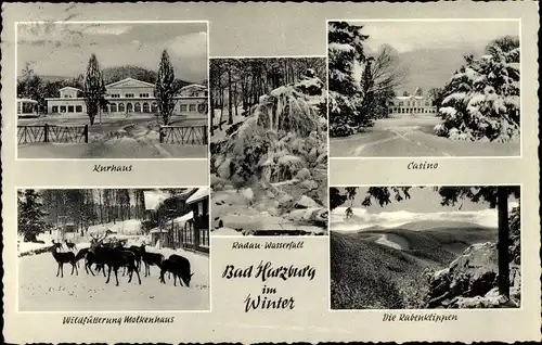 Ak Bad Harzburg am Harz, Wildfütterung, Kurhaus, Casino, Radau Wasserfall, im Winter,Schnee