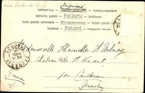 Ak Hirsche und Rehe, Waldpartie, Wiese