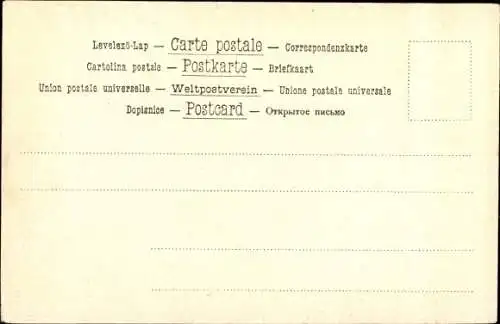 Ak Hirsch und zwei Hirschkühe