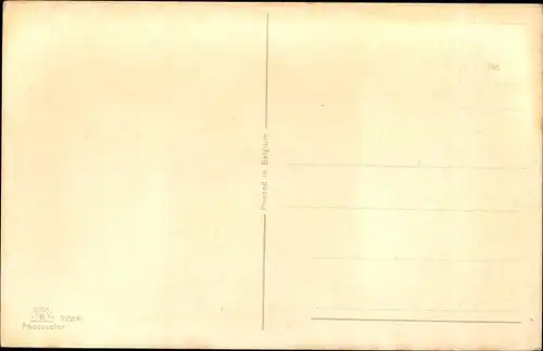 Ak Hund-Portrait, Tier-Portrait