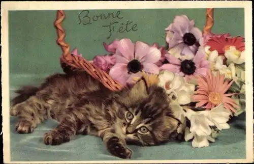 Ak Junge Hauskatze neben einem Korb mit Blumen, Blüten, Kätzchen