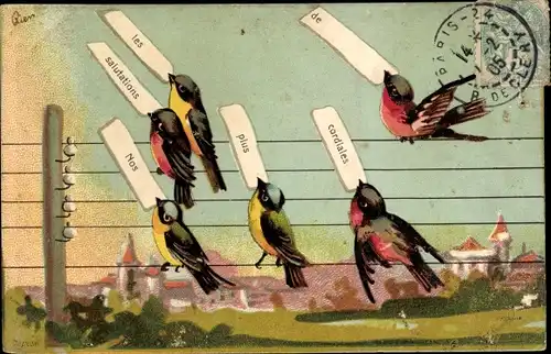 Ak Vögel, Hochspannungsleitung