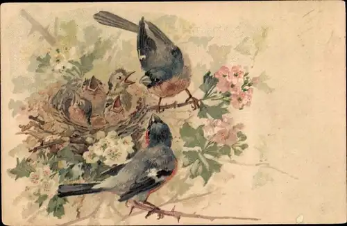 Ak Vogel-Familie, Vogelnest, Blühender Baum