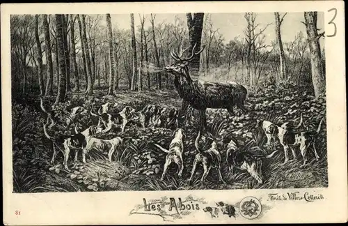 Künstler Ak Delinge, J., Les Abois, Hirsch, Jagdhunde