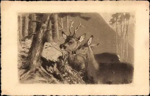 Künstler Ak Hirsch und Reh beim Essen