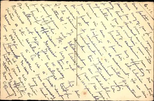 Ak Zwei schwarze Hunde