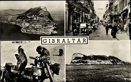 Ak Gibraltar, Panorama, Fels, Straßenpartie mit Passanten und Autos, Affen auf einem Zweirad