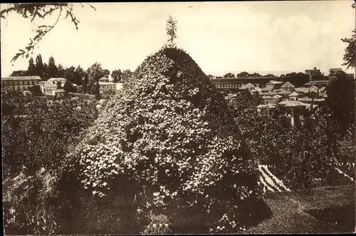 Ak Granada Andalusien Spanien, La Alhambra desde el Generalife