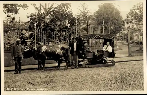 Foto Ak Insel Madeira Portugal, Carre de Bois, Ochsengespann mit Fahrgästen