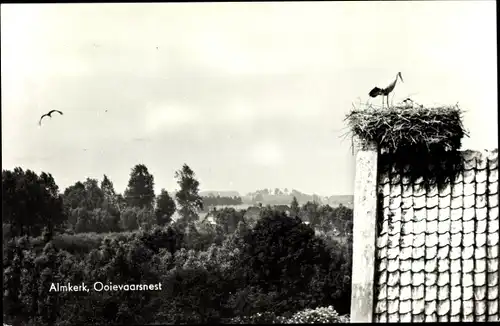 Ak Almkerk Nordbrabant Niederlande, Störche im Nest