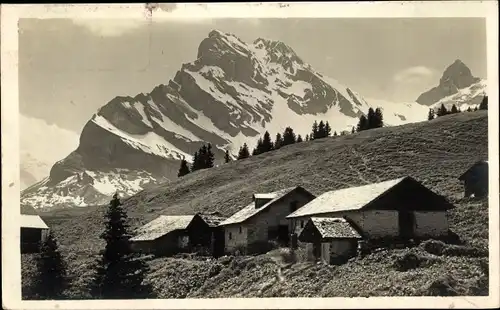 Ak Braunwald Kanton Glarus, Braunwald-Alp mit Ortstock