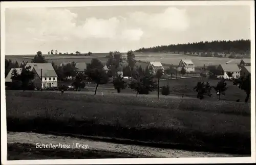 Ak Schellerhau Altenberg im Erzgebirge, Teilansicht