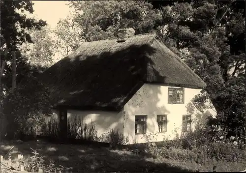 Foto Ak Grieben Insel Hiddensee in der Ostsee, Reetdachhaus