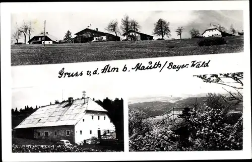 Foto Ak Mauth in Bayern, Alm b. Mauth, Blick ins Tal