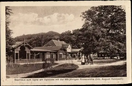 Ak Malente in Ostholstein, Gasthaus zum Uglei am Ugleisee, Rieseneiche