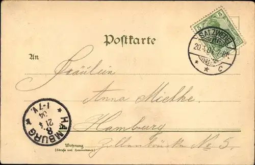 Litho Salzwedel in der Altmark, Gymnasium, Probstei, Amtsgericht, Burg Albrecht, Hotel