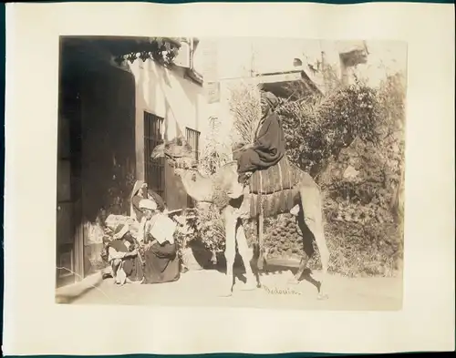 Foto Ägypten, Bedouin, Reiter auf einem Kamel