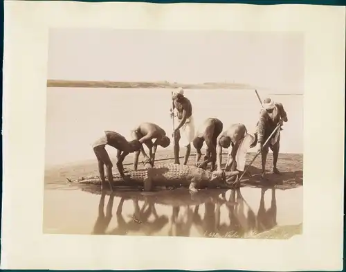 Foto Ägypten, Jagdszene, ägyptische Jäger mit erlegtem Krokodil