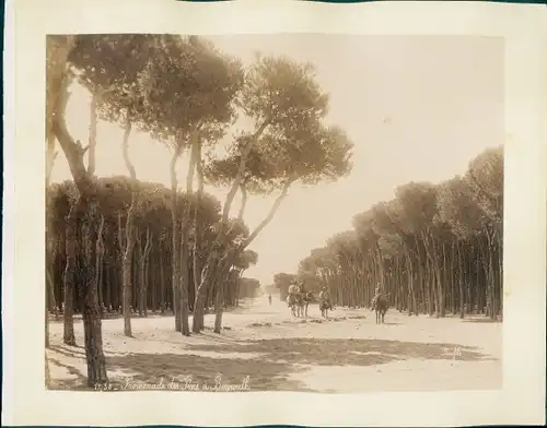 Foto Beirut Beyrouth Libanon, Promenade