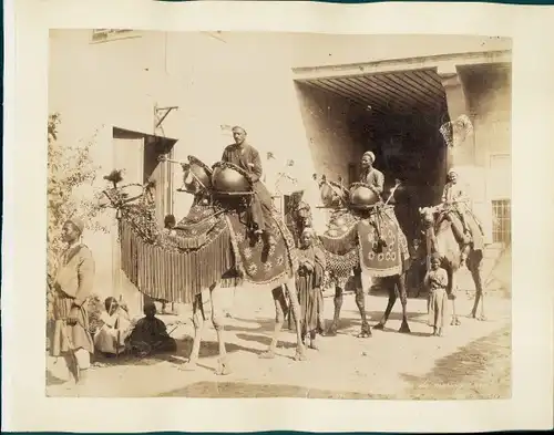 Foto Ägypten, Musiker auf geschmückten Kamelen