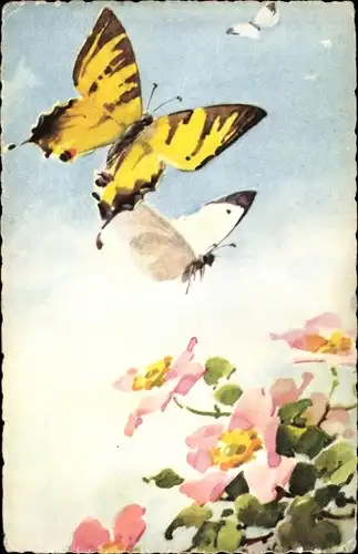 Ak Schmetterlinge im Flug, Blühende Blumen