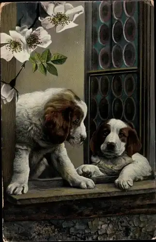 Ak Hunde am Fenster, Blühende Blumen