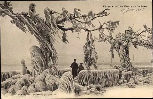 Ak Versoix Kanton Genf, Les Effets de la Bise