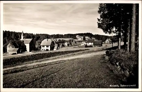 Ak Kniebis Freudenstadt im Nordschwarzwald, Teilansicht