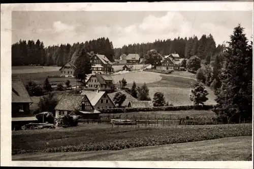 Ak Kniebis Freudenstadt im Nordschwarzwald, Teilansicht