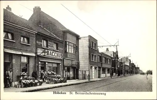 Ak Hoboken Antwerpen Flandern, St. Bernardschesteenweg, Geschäft Bacchus