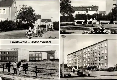 Ak Hansestadt Greifswald, Ostseeviertel, Kinder, Pferde, Hochhaus