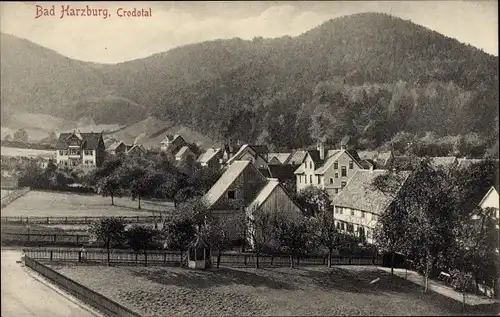 Ak Bad Harzburg in Niedersachsen, Crodotal, Panorama