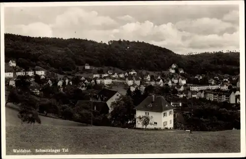 Ak Waldshut Tiengen am Hochrhein, Schmitzingertal