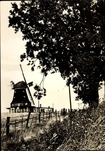 Ak Klütz in Mecklenburg, Ortsansicht, Windmühle