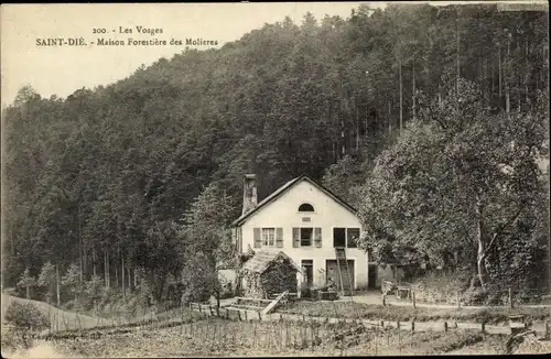 Ak Saint Dié des Vosges, Maison Forestiére des Molieres