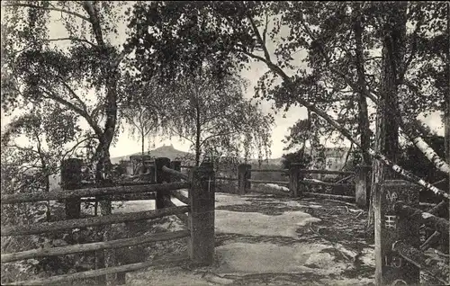 Ak Hrubá Skála Groß Skal Region Reichenberg, Marianske skaly, Marienaussicht