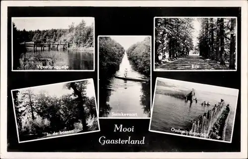 Ak Oudemirdum Gaasterland Friesland Niederlande, Vijverbruggetje, Rije, Sminkevaart, in de bossen