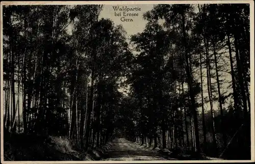 Ak Ernsee Gera in Thüringen, Waldpartie