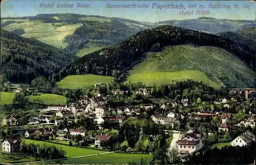 Ak Payerbach an der Rax in Niederösterreich, Hotel weisse Rose, Sommerfrische, Hotel Hüttl