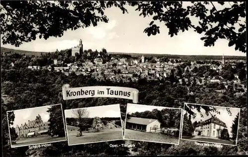 Ak Kronberg im Taunus, Panorama, Schloß-Hotel, Opel Tierpark, Erholungsheim Haus Waldfriede
