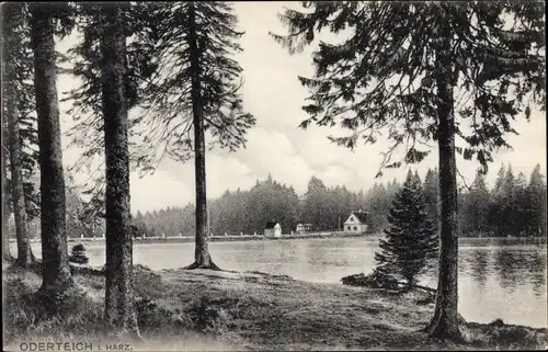 Ak Sankt Andreasberg Braunlage im Oberharz, Oderteich i. Harz, Blick über den See