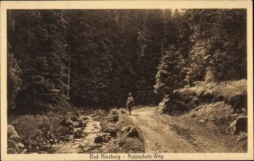 Ak Bad Harzburg am Harz, Autoschutz-Weg, Weg neben Bach im Wald