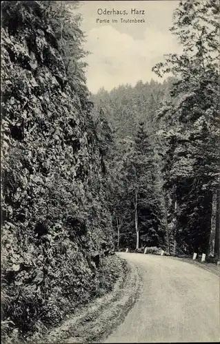 Ak Oderhaus Braunlage im Oberharz, Partie im Trutenbeek, Waldweg, Felsen