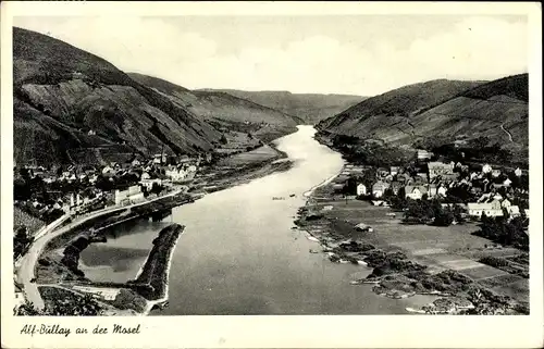 Ak Alf an der Mosel, Panorama, Bullay