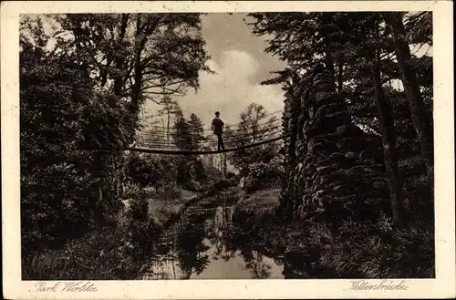 Ak Oranienbaum Wörlitz in Anhalt, Park, Kettenbrücke, Fluss
