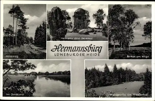 Ak Hermannsburg Südheide in der Lüneburger Heide, Waldweg, Hermann Löns Denkmal, Oerzetal