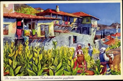 Künstler Ak Melnik Bulgarien, Tabakernte, Bauern, Häuser, Balkone